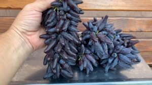 Кишмиш Хэллоуин или Ведьмин палец (Witch's finger).