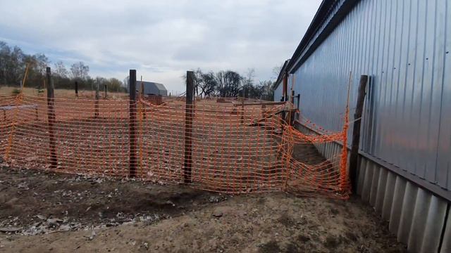 Домашняя птица. смотреть онлайн