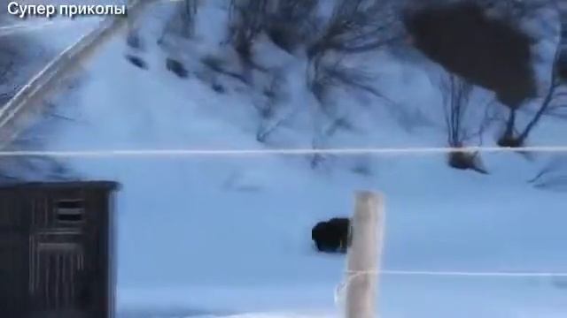 Кто в тайге хозяин ? смотреть онлайн