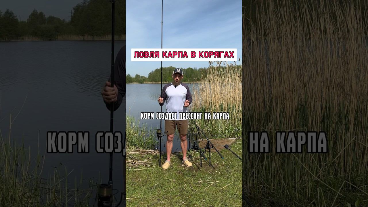Как эффективно ловить карпа в корягах #карпфишинг смотреть онлайн