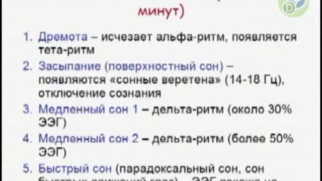 Ковалева А.В. Из видеокурса "Физиология ВНД" смотреть онлайн