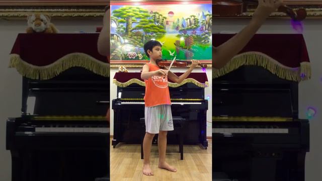 Song From A Secret Garden - Violin - Chu Việt Bách