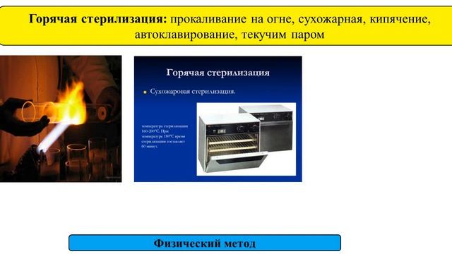 lll - четверть, Биология, 11 класс, Этапы микробиологических исследований смотреть онлайн