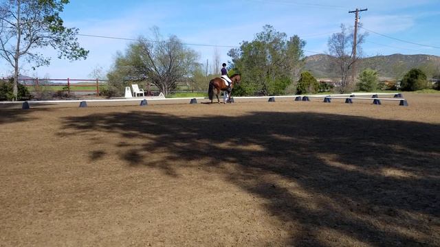 dressage test смотреть онлайн