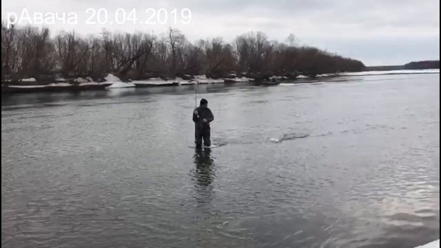 Весенняя рыбалка. р.Авача 2019.04.20 смотреть онлайн