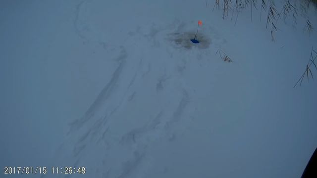 За щучкой на капканчики смотреть онлайн