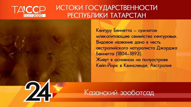 100 лет ТАССР: ИСТОКИ ГОСУДАРСТВЕННОСТИ РЕСПУБЛИКИ ТАТАРСТАН №30 - Казанский зооботсад смотреть онлайн