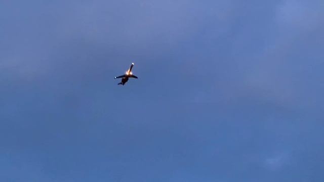 Бәхетле бул,ирем, мин китәм...37 бүлек. смотреть онлайн