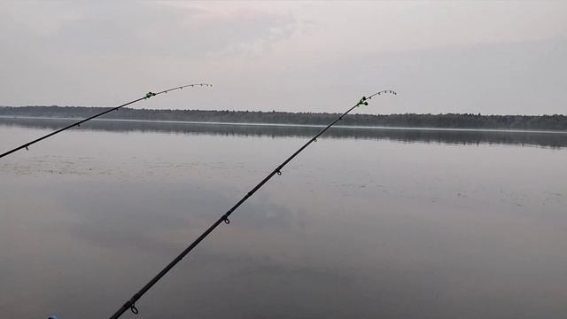 Рыбалка на Волге Кострома 2022Август??? смотреть онлайн