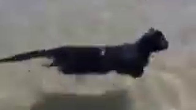Укажите название. смотреть онлайн