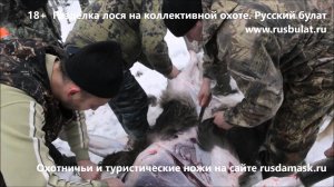 18+ Разделка лося на коллективной охоте. Русский булат. Отзывы о ножах. knife hunter