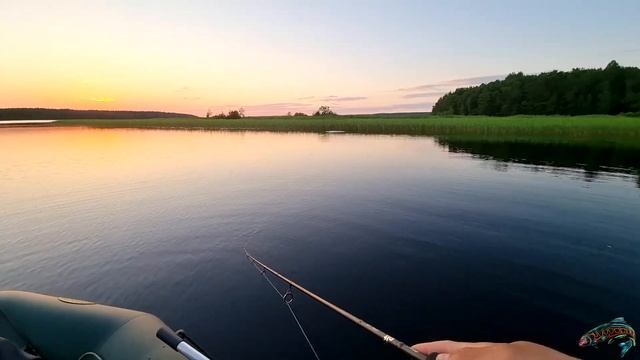 Покорение Нахимовского озера (2 дня) Рыбалка в лен. обл. Ну и мой первый трофей на 70 килограмм! смотреть онлайн