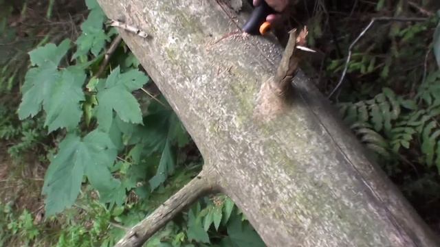 Доброе дело.))) смотреть онлайн