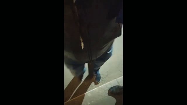 Росгвардия наехала на Германа Ягодку | Заставили удалить видео смотреть онлайн