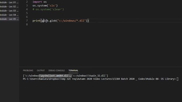 CS384 Python Programming Module 08 OS Module Lec 05 glob list patterns смотреть онлайн