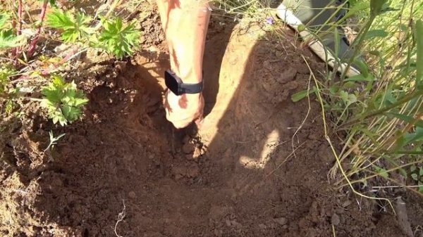 Подобрали так подобрали - дом перед покупкой смотрели три специалиста