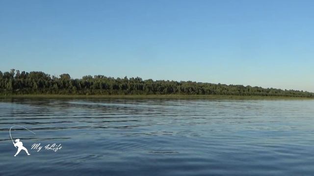 Рыбалка на кольцо. Подводные съемки. Коптим рыбу. Астраханская рыбалка 2020) Часть 12 смотреть онлайн