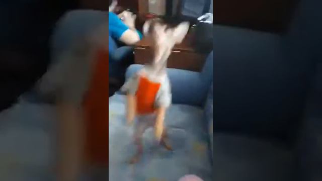 Мои любимые тойчики. смотреть онлайн