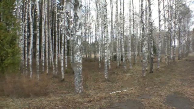 Продажа земли 11,2га в дер.Лучинское, Новая рига 42км смотреть онлайн