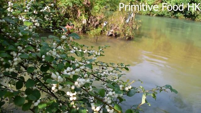 Survival Skills In The Rainforest, Free Life In The Forest, Strange Fruits Delicious You Do Not Kno