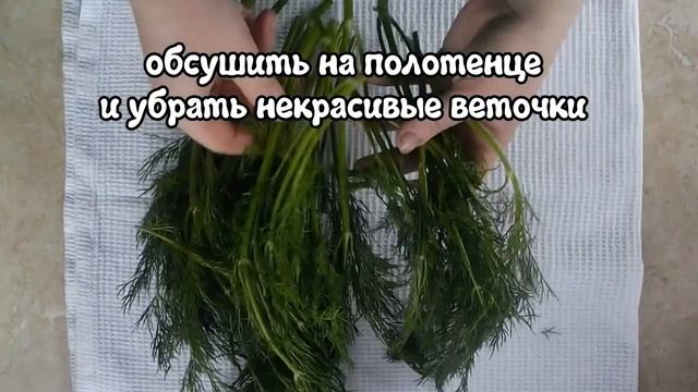 Как Хранить Зелень в Холодильнике. Свежая Зелень Надолго смотреть онлайн