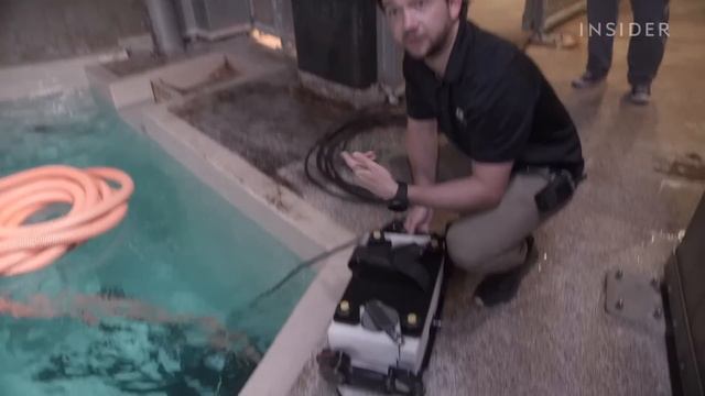 Deep Cleaning One Of The World's Biggest Aquariums | Deep Cleaned | Insider смотреть онлайн