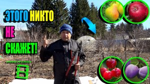 ПРАВИЛЬНАЯ ОБРЕЗКА ПЛОДОВЫХ ДЕРЕВЬЕВ И КУСТАРНИКОВ ВЕСНОЙ. ЭКО-САД ВЫХОДНОГО ДНЯ 23-9