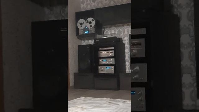 Старый бобинник.Ведищева. песни про медведей смотреть онлайн