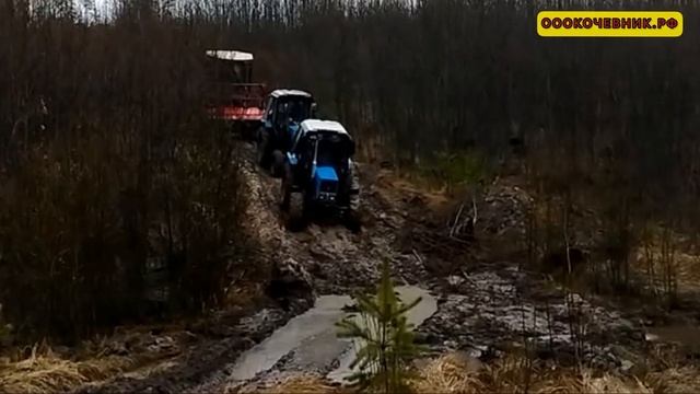 Весна-2022 / МУЛЬЧИРУЕМ ГНИЛЫЕ ПНИ И ПОРУБОЧНЫЕ ОСТАТКИ В БРЯНСКОМ ЛЕСУ,МТЗ,УЭС 280 Ahwi,JCB 3 Cx.