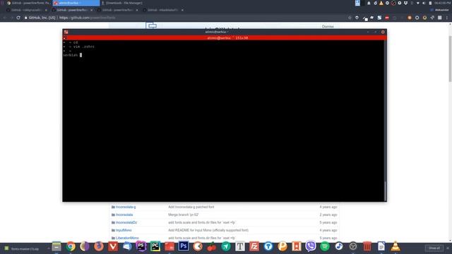 Make terminal awesome looking !!! How to customize your terminal with ZSH and custom color scheme смотреть онлайн
