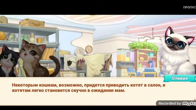 Kitten Match строем комнату Салон красоты. Новая кошка Барбара. Часть 2 смотреть онлайн