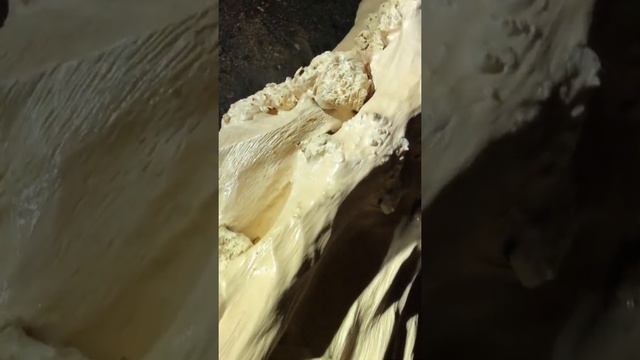 Снятие коры с капового бревна смотреть онлайн