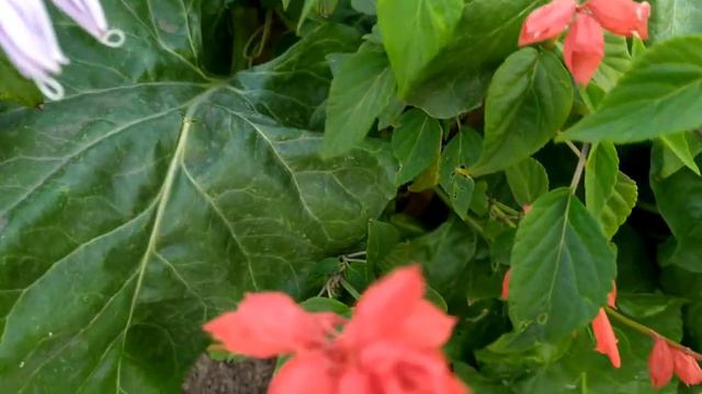 Аквамарин 1 - 4 серии | Мелодрама 2021 смотреть онлайн