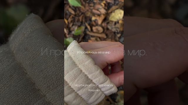 Аффирмация дня ? послание от Голоса Вселенной #аффирмации #богатство #психология #саморазвитие смотреть онлайн