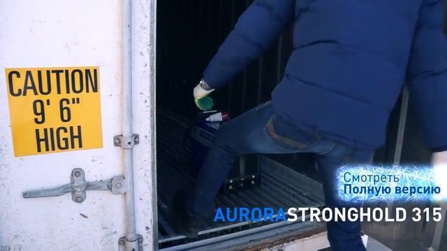 Тест сварочный аппарат инверторный Aurora Stronghold 315 при - 26С