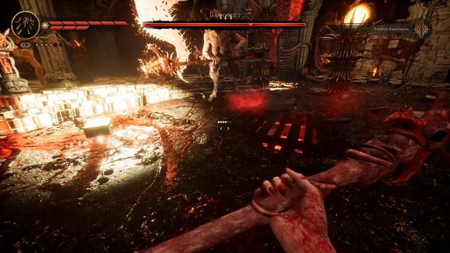 Succubus // ▶ 10:  // АРЕНА ГЛАДИАТОРОВ //