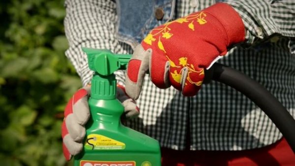 Bona Forte использование эжектора