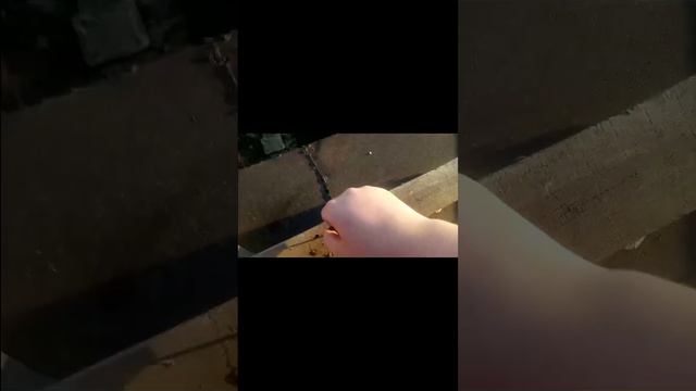 хомячая база #1 смотреть онлайн