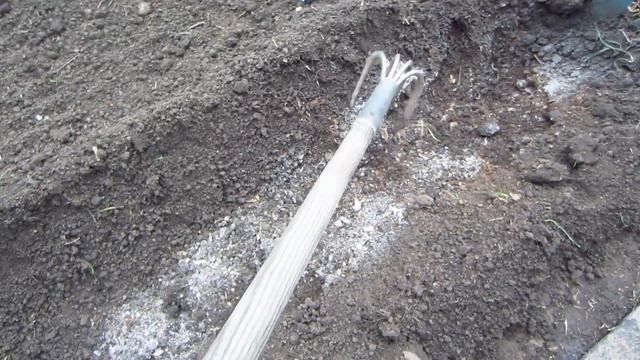 Безрассадный способ выращивания томатов ! (1 часть) Посев семян томатов в открытый грунт !