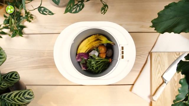 Tero vs Lomi vs Vitamix FoodCycler - Which One is Worth It? смотреть онлайн