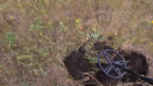 Коп в заброшенном поле