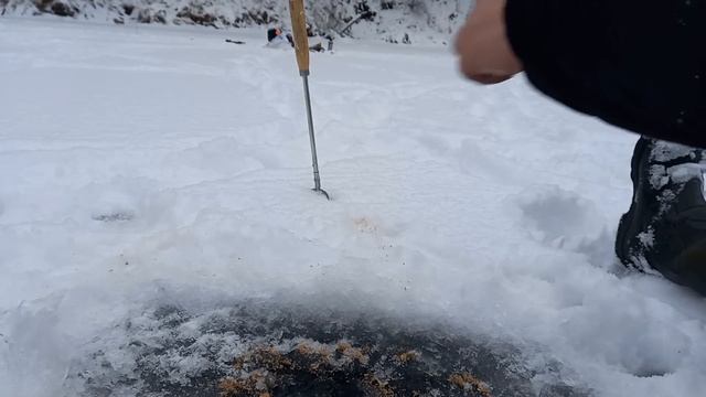 Рыбалка на Косынки. Поставили Их на середину и НЕ ЗРЯ. смотреть онлайн