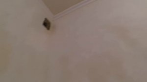 Распылитель (пульверизатор) для Грунтовки стен, потолков. Дешево и сердито .ЛайфхУк.