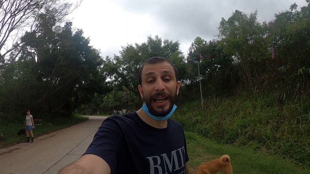 GÖNÜLLÜ İŞ//HONG KONG//HAYVAN BARINAĞI//VOLUNTEER//SHELTER смотреть онлайн
