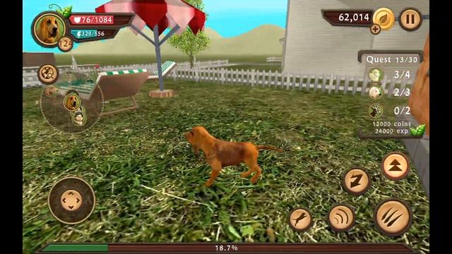 ? HUNGRY DOGS ?? Dog Animal Simulator Games Build A Family Android Ios Gameplay Video #56 смотреть онлайн