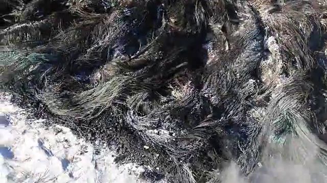 Сжигание покрышек смотреть онлайн