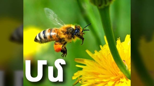 Այբուբեն Айбубен Aybuben смотреть онлайн