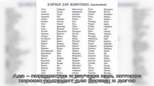 Клички для больших собак-девочек