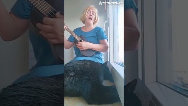 Love me tender-Elvis(ukulelecover) смотреть онлайн