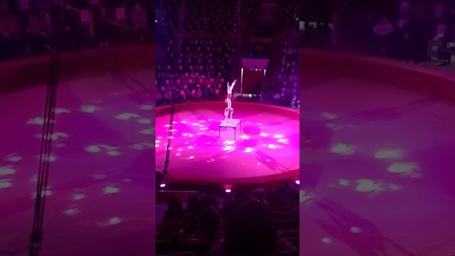 Новогодний цирк в Баку. (часть 1) смотреть онлайн